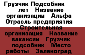 Грузчик-Подсобник 18-40 лет › Название организации ­ Альфа › Отрасль предприятия ­ Строительная организация › Название вакансии ­ Грузчик-подсобник › Место работы ­ Зеленоград › Минимальный оклад ­ 35 000 › Максимальный оклад ­ 35 000 › Возраст от ­ 18 › Возраст до ­ 40 - Московская обл., Москва г. Работа » Вакансии   . Московская обл.